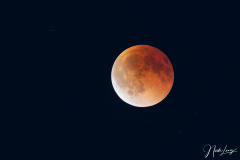 Mondfinsternis - (c) Nicole Lanig
