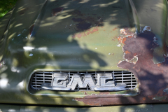 US-Car Treffen - (c) Michael Grau