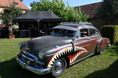 US-Car Treffen - (c) Michael Grau
