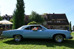 US-Car Treffen - (c) Michael Grau