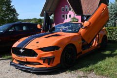 US-Car Treffen - (c) Michael Grau