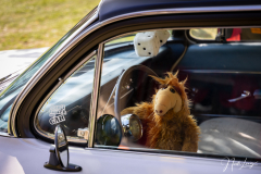 US-Car Treffen - (c) Nicole Lanig