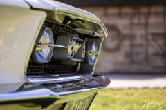 US-Car Treffen - (c) Nicole Lanig
