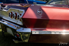 US-Car Treffen - (c) Nicole Lanig