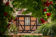 Jahresthema "eingerahmt" - (c) Mario Kern