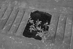 Jahresthema "eingerahmt" - (c) Christine Schneider