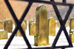 Jahresthema "eingerahmt" - (c) Christine Schneider