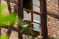 Jahresthema "eingerahmt" - (c) Robert Geisel