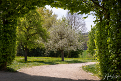 Jahresthema "eingerahmt" - (c) Nicole Lanig