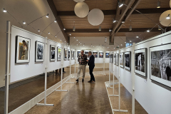 Ausstellung Zeil am Main