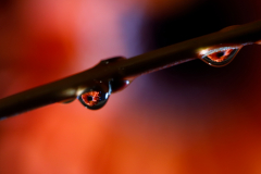 Farbspiele - (c) Udo Klinger