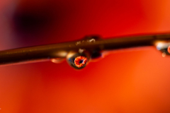 Farbspiele - (c) Klaus Wendel