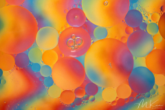 Farbspiele - (c) Mario Kern