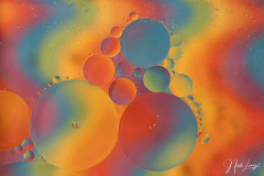 Farbspiele - (c) Nicole Lanig