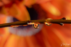 Farbspiele - (c) Nicole Lanig