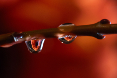 Farbspiele - (c) Volker Rohmann