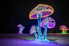 Thüringer Glitzerwelt - (c) Mario Kern