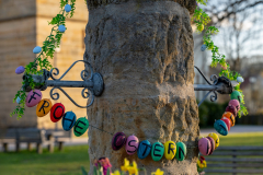 Osterbrunnen Wiesen - (c) Mario Kern