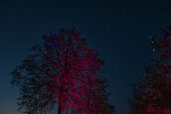Kronach leuchtet - (c) Christine Schneider