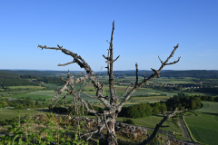Altenstein - (c) Michael Grau