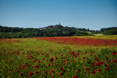 Altenstein - (c) Karl-Heinz Stöckert