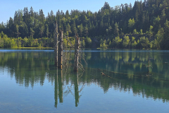 Draisine, Wasserkraft und Schiefer - (c) Herbert Wilde