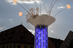 Flechtfiguren - (c) Volker Rohmann