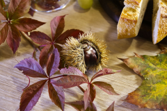 Food-Fotografie - (c) Christine Schneider