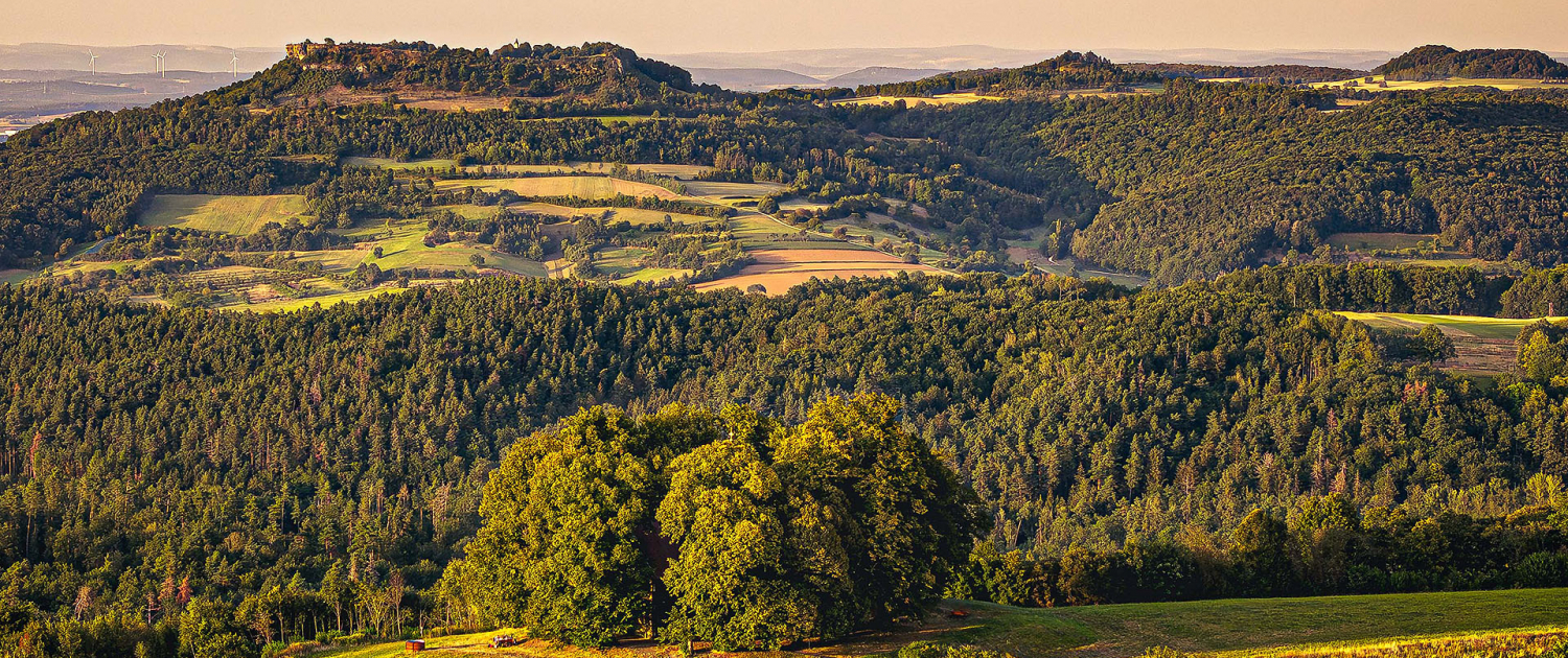 September 2026 - (c) Klaus Wendel